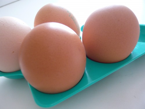oeufs,omelette,fritatta,repas rapide,nutrition,alimentation,protéines