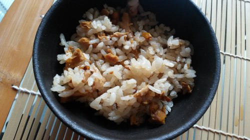 riz,riz japonais,risotto,paella,le livre du riz,asie,japon,espagne,inde,beendhi