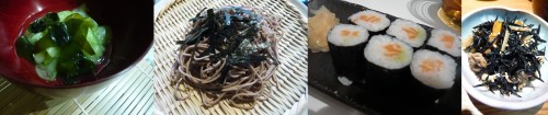 algues,st malo,afdn,bretagne,route des algonautes,japon,produits de la mer,cuisine japonaise,ceva