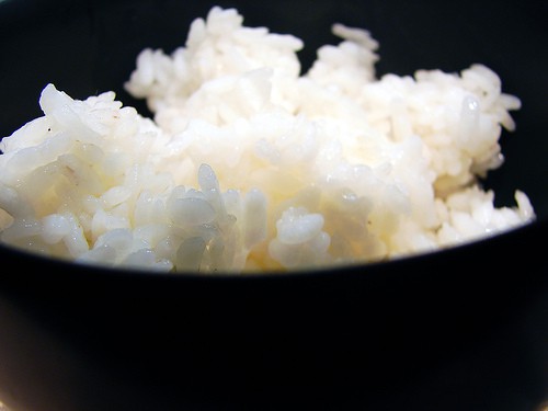 riz,riz japonais,risotto,paella,le livre du riz,asie,japon,espagne,inde,beendhi